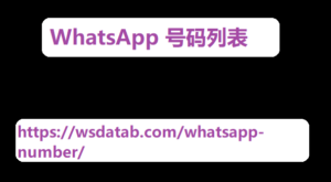 WhatsApp 号码列表