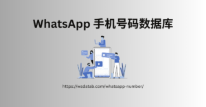 WhatsApp 手机号码数据库