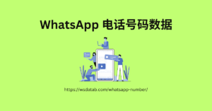 WhatsApp 电话号码数据