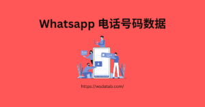 Whatsapp 电话号码数据