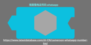 喀麦隆电话号码 whatsapp