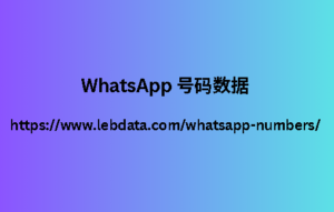 WhatsApp 号码数据